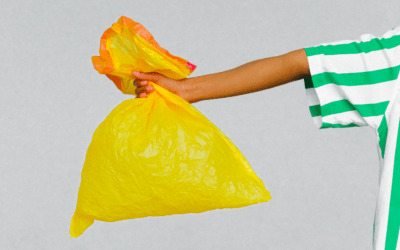 Le devenir des déchets ménagers