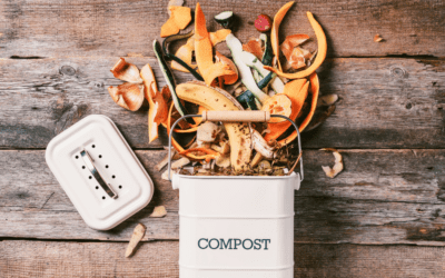Réduire nos déchets grâce au compostage
