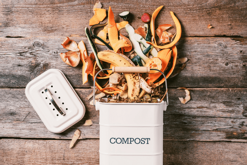 Composter-maison-appartement-InExtremis-Antigaspi