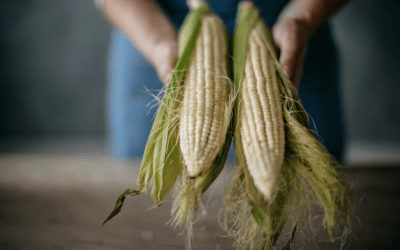 Préserver la biodiversité par l’alimentation, 5 gestes à adopter