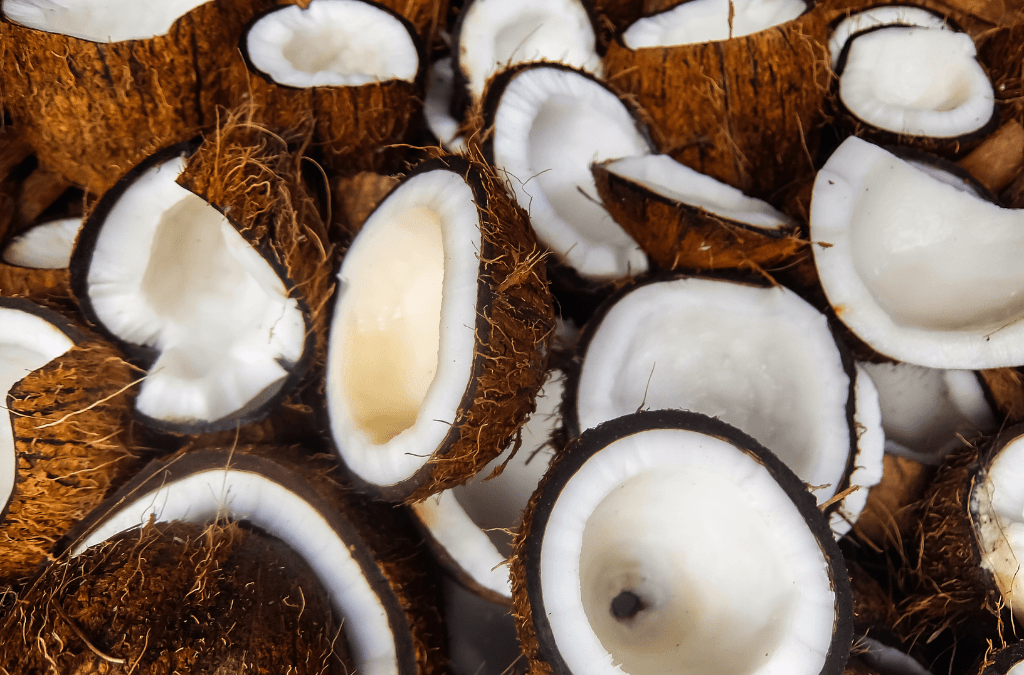 Les alternatives locales à la noix de coco