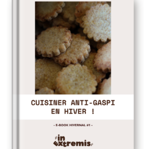 In-Extremis-E-book-Cuisine-Recettes-Anti-Gaspi-Hiver