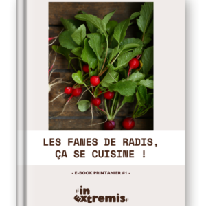 In-Extremis-E-book-Cuisine-Recettes-Anti-Gaspi-Printemps-Fanes-Radis