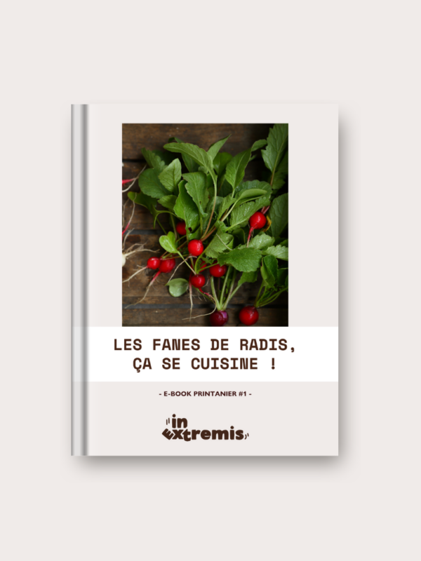 In-Extremis-E-book-Cuisine-Recettes-Anti-Gaspi-Printemps-Fanes-Radis